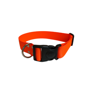 Collar Perro Grande Naranja